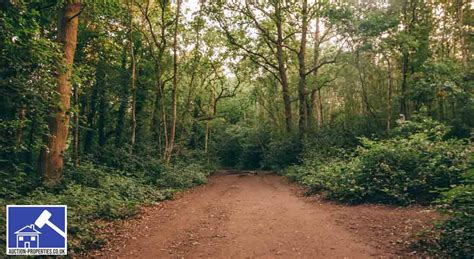 uk forest corporation auction.